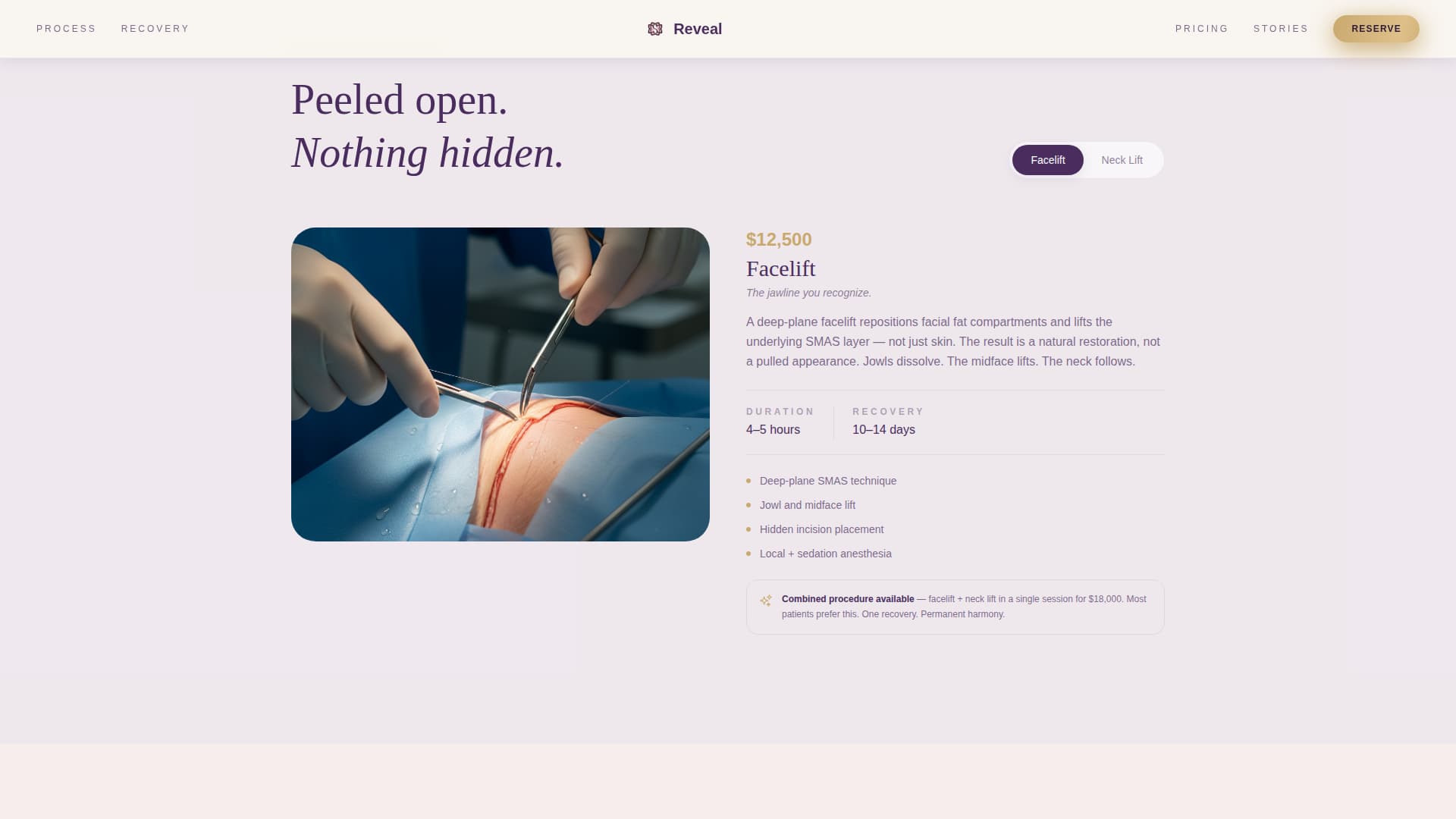 Reveal - Transformative Facelift Landing Page Template