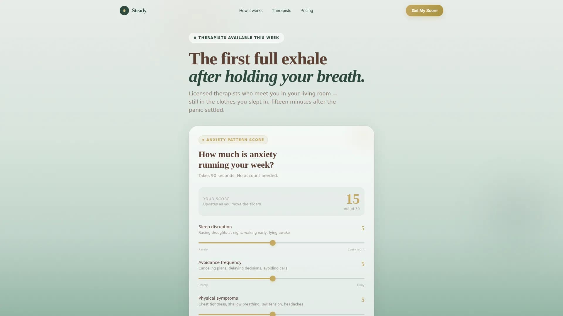 Steady - Telehealth Services Landing Page Template