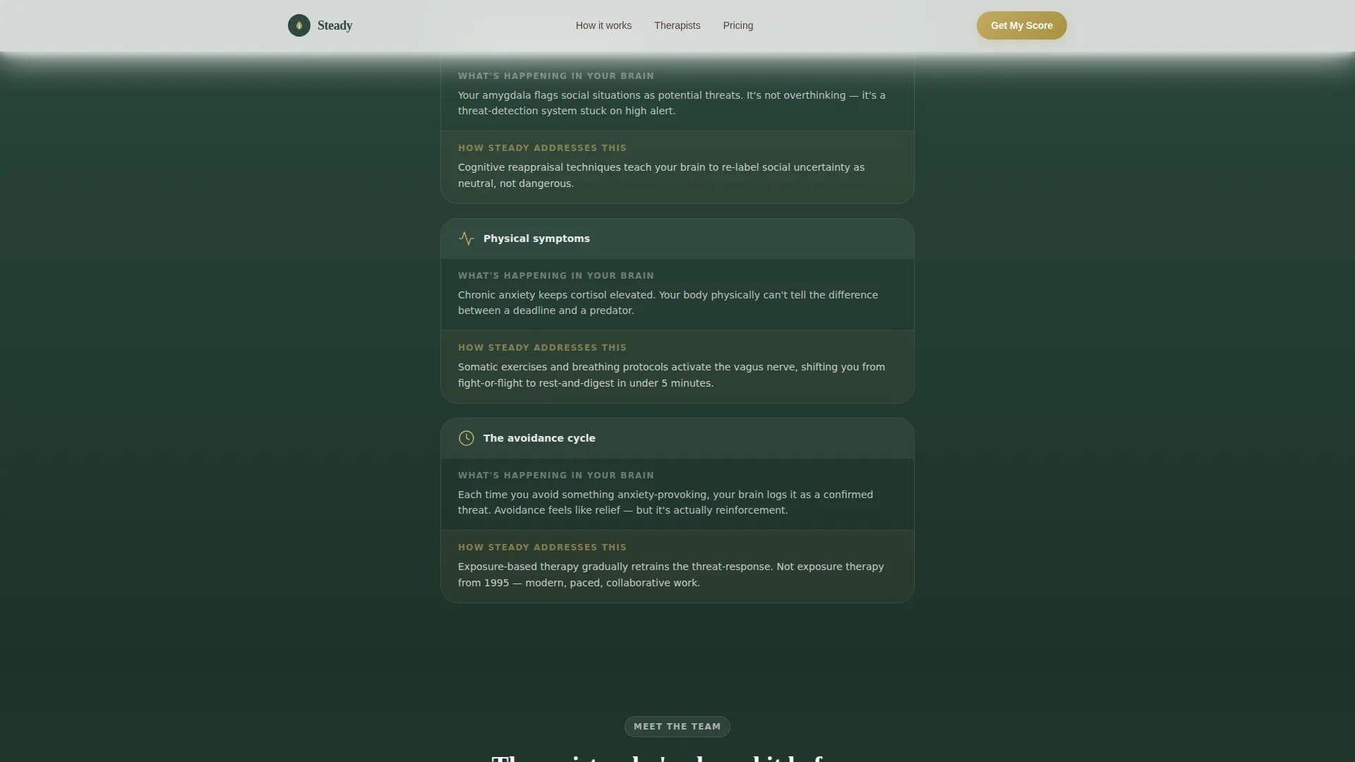 Steady - Telehealth Services Landing Page Template