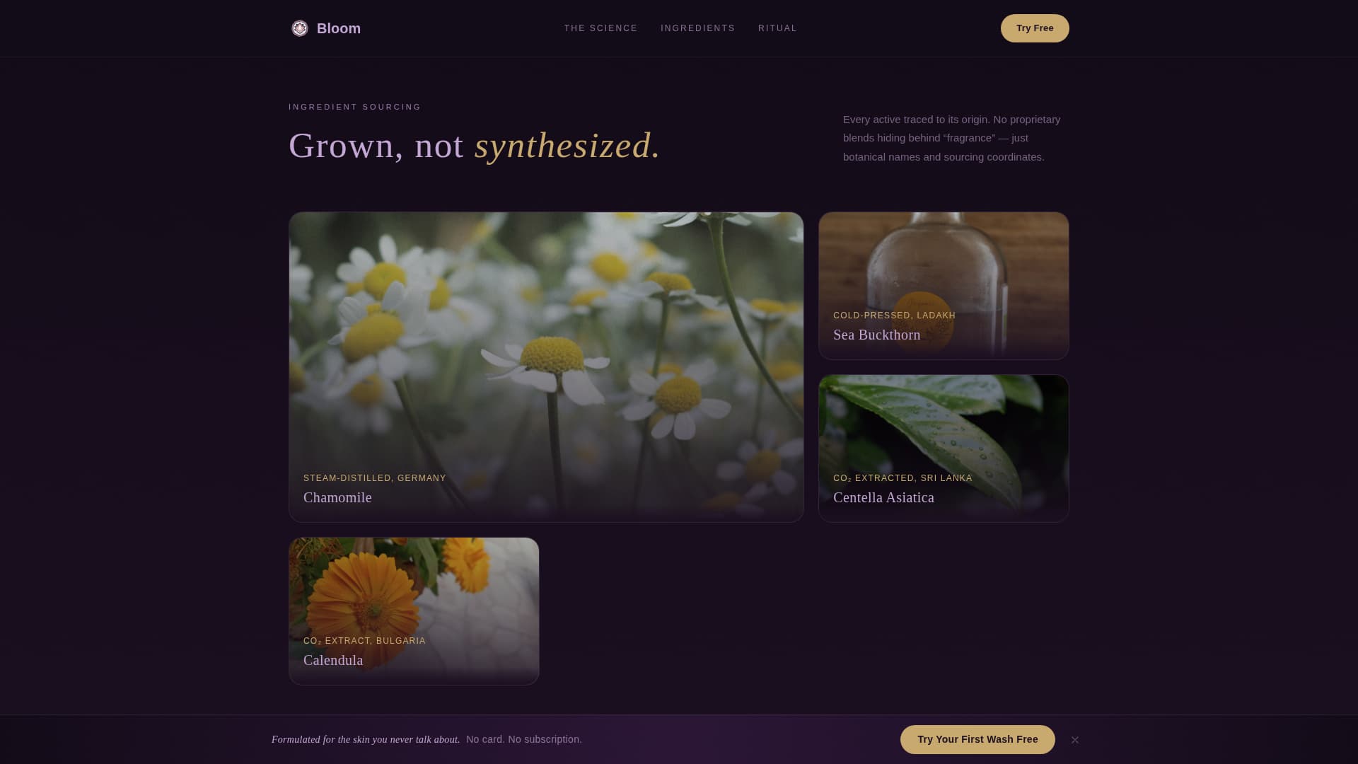 Bloom - Botanical Intimatecare Landing Page Template
