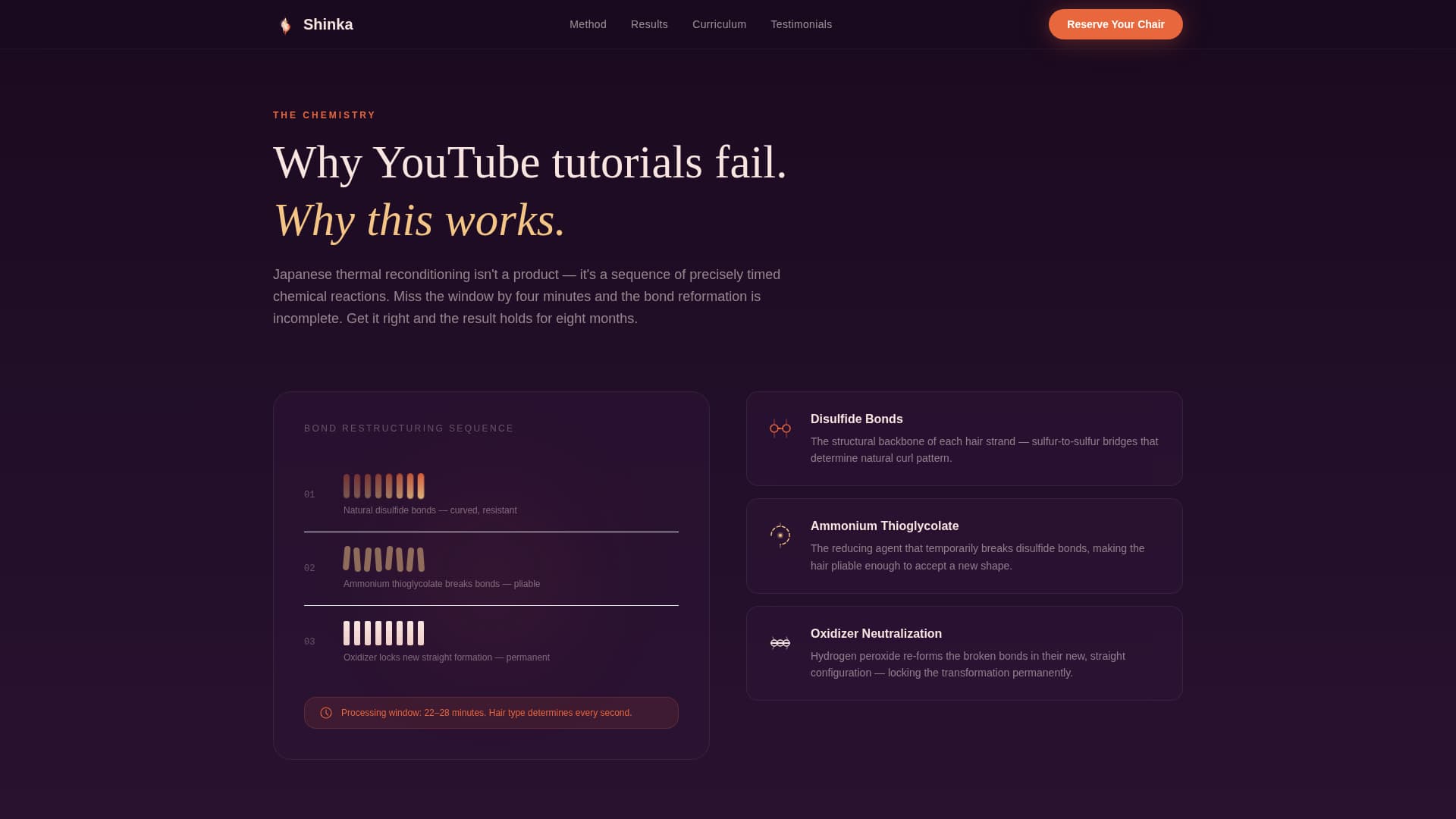 Shinka - Transformative Straightening Landing Page Template