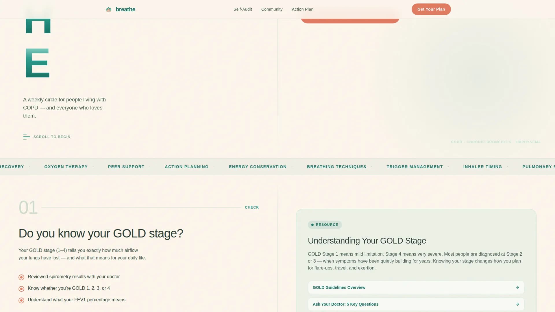 COPD Care Specialist Professional Website Template