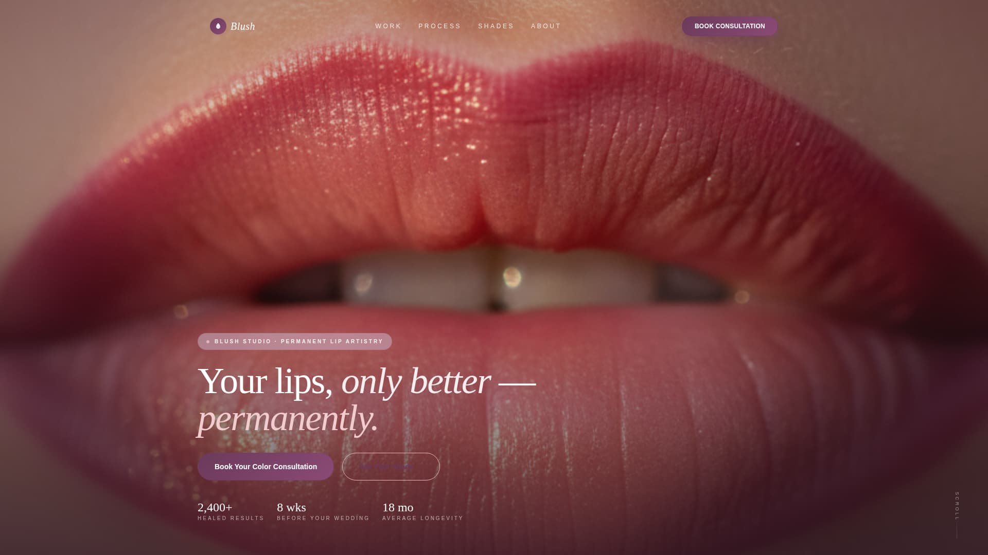 Blush - Stunning Lipblush Landing Page Template