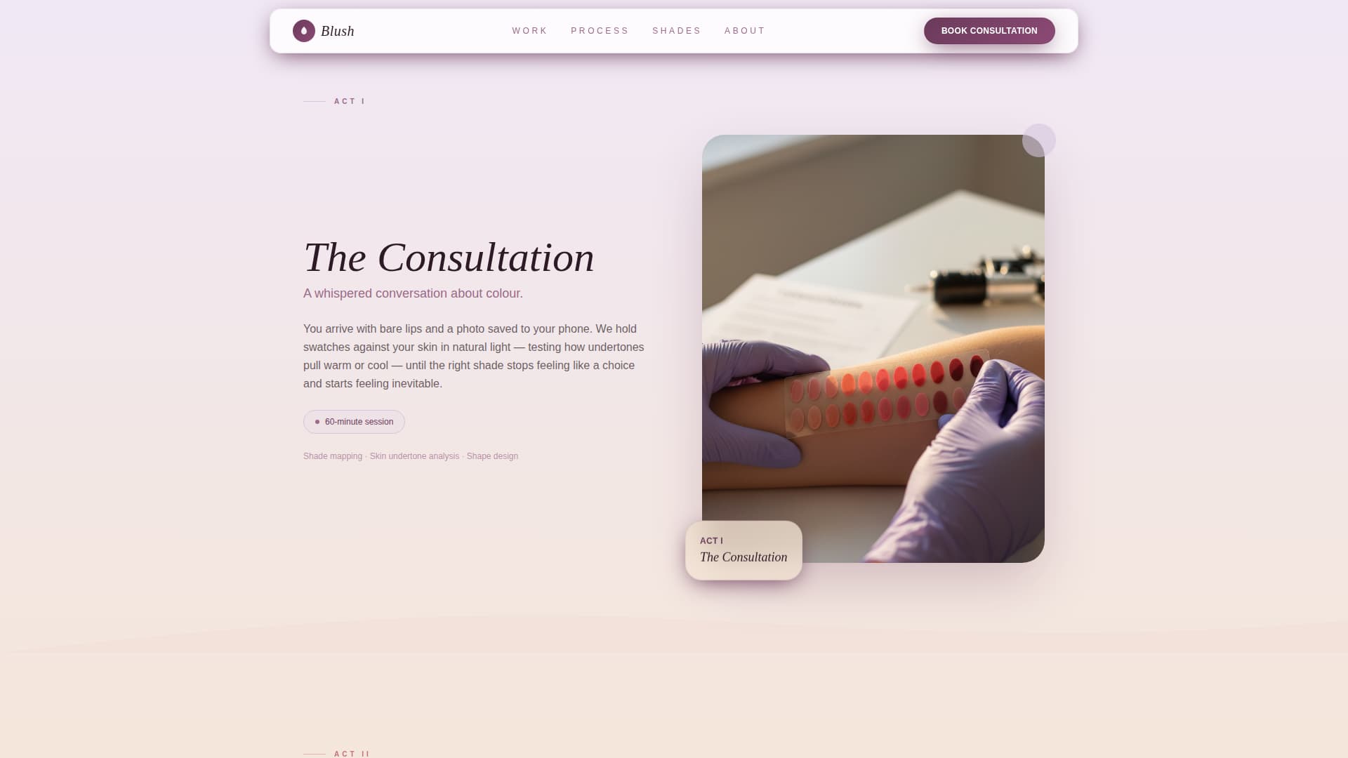 Blush - Stunning Lipblush Landing Page Template