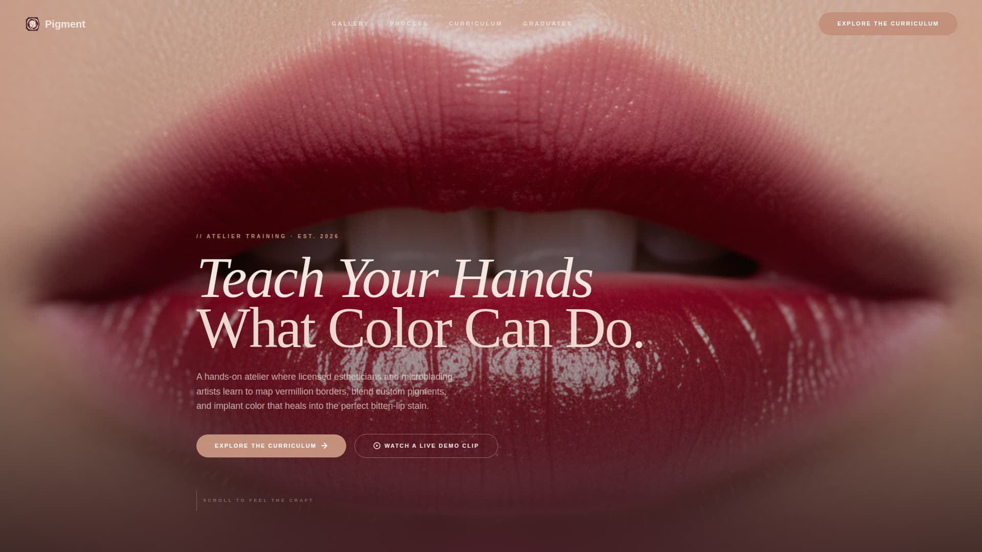 Pigment - Luxurious Lipblush Landing Page Template