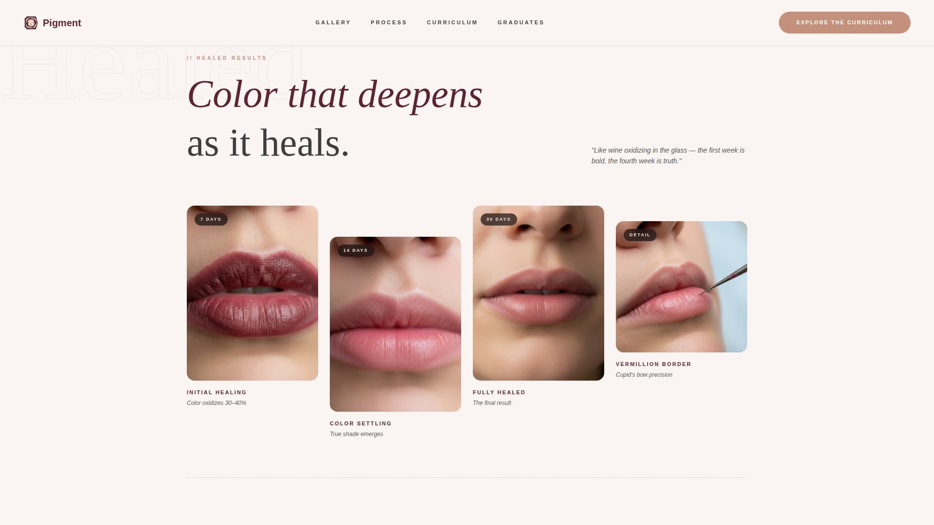 Pigment - Luxurious Lipblush Landing Page Template