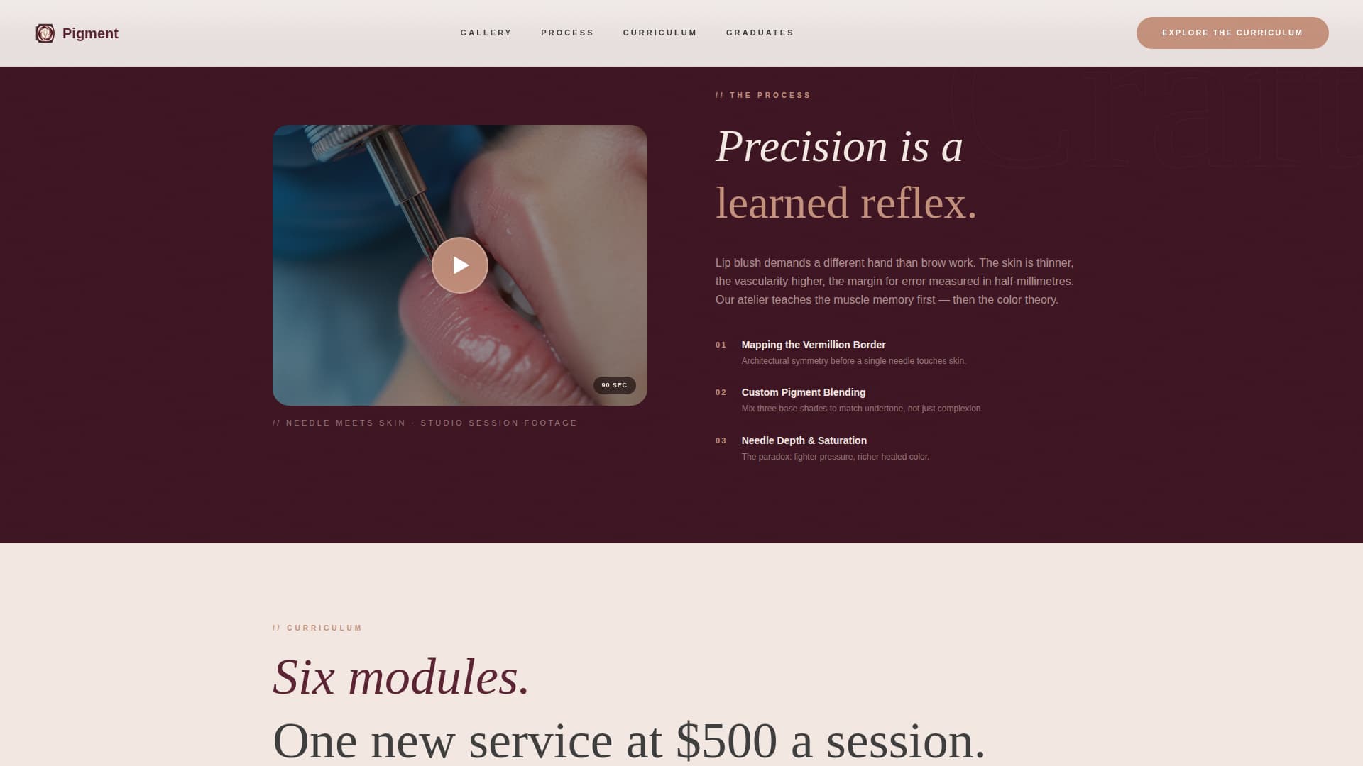 Pigment - Luxurious Lipblush Landing Page Template