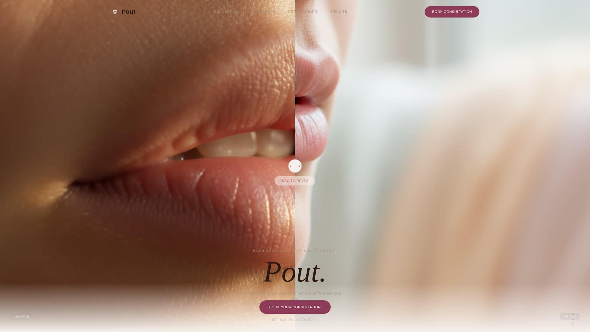 Pout - Refined Augmentation Landing Page Template