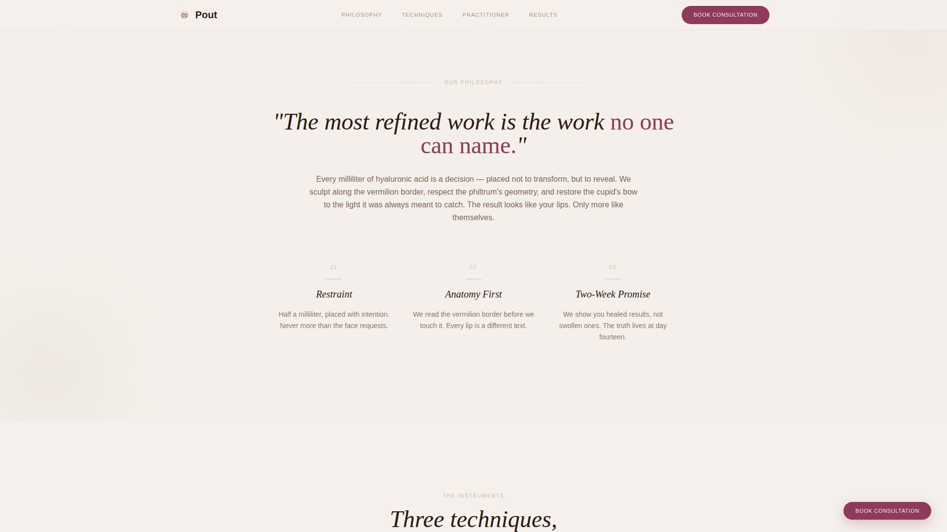 Pout - Refined Augmentation Landing Page Template