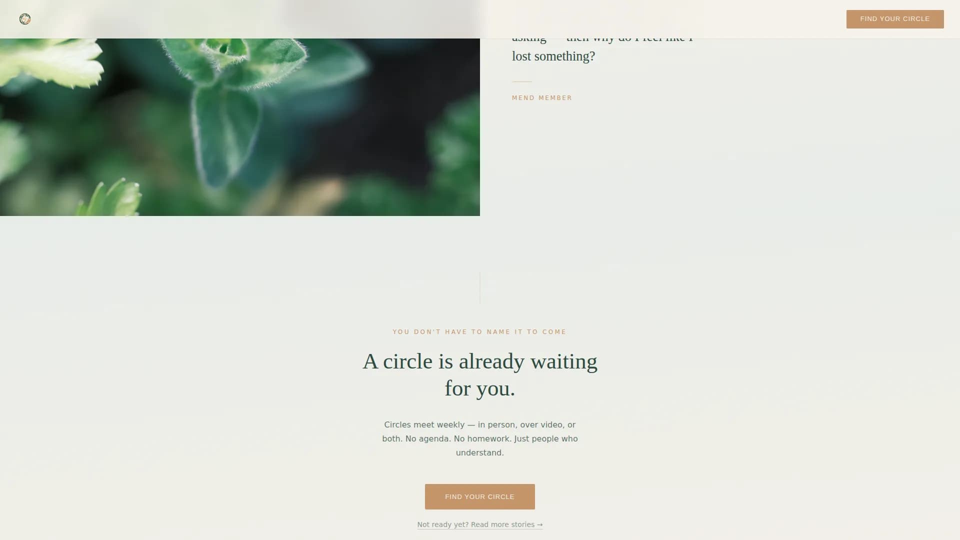 Cancer Recovery Care Specialist Reviews Website Template