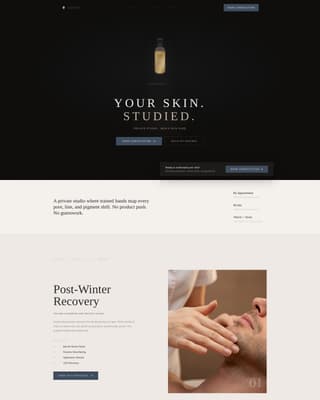 Dermis - Refined Aesthetician Landing Page Template