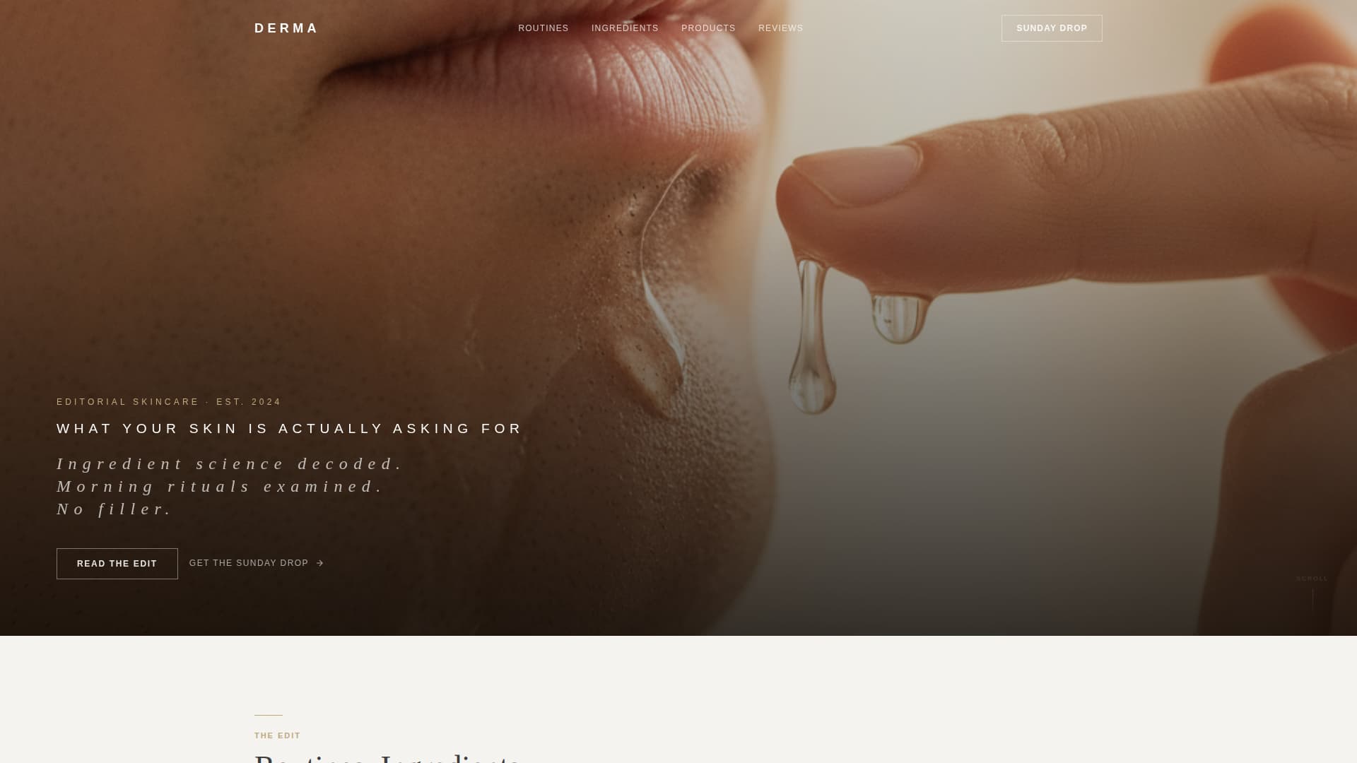 Derma - Luxe Grooming Landing Page Template