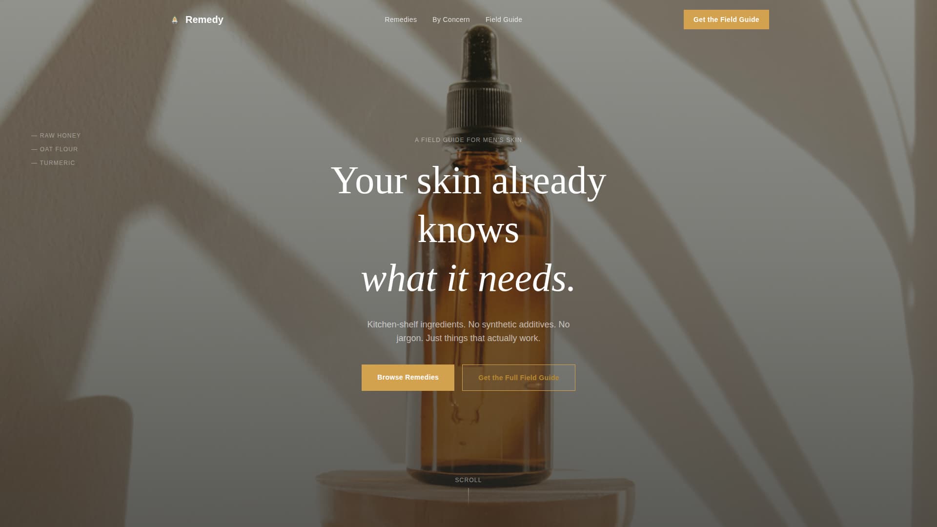 Remedy - Natural Mensskincare Landing Page Template