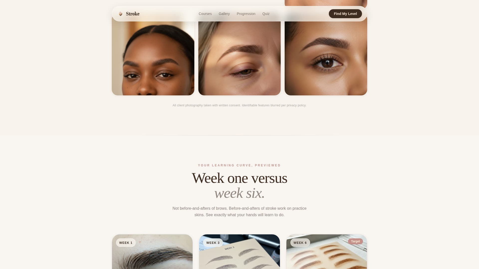 Stroke - Precision Microblading Landing Page Template