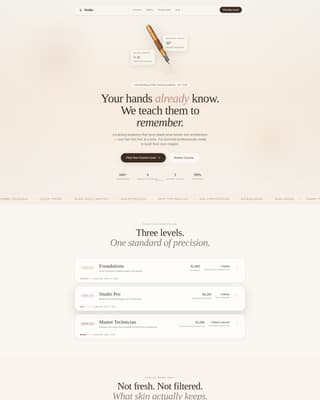 Stroke - Precision Microblading Landing Page Template