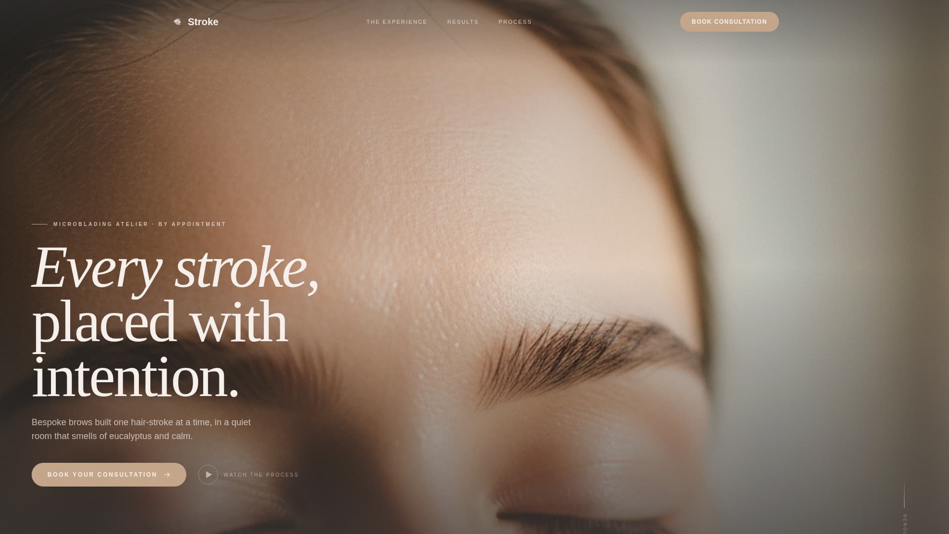 Stroke - Elegant Microblading Landing Page Template