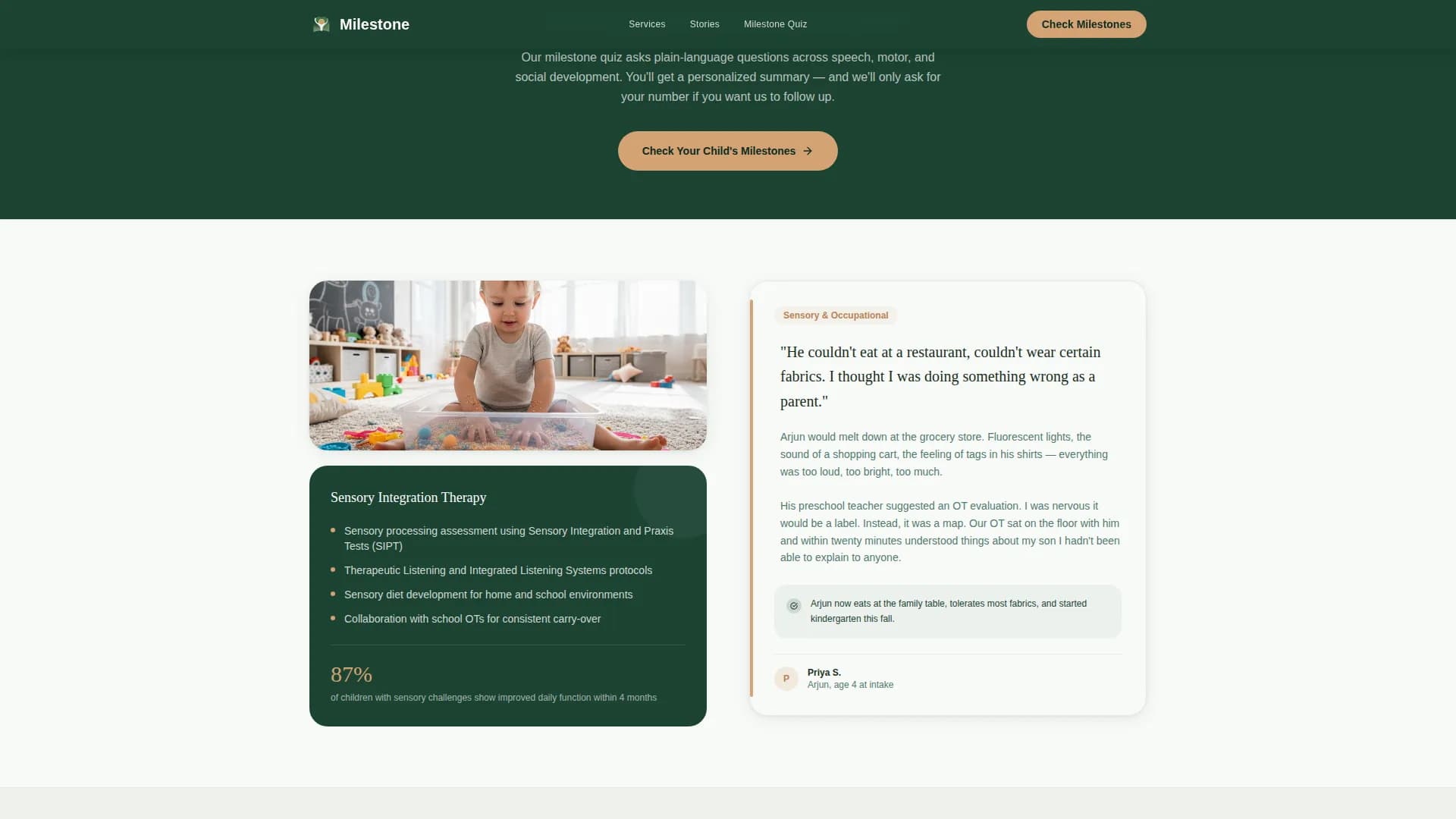 Pediatric & Child Health Reviews Website Template