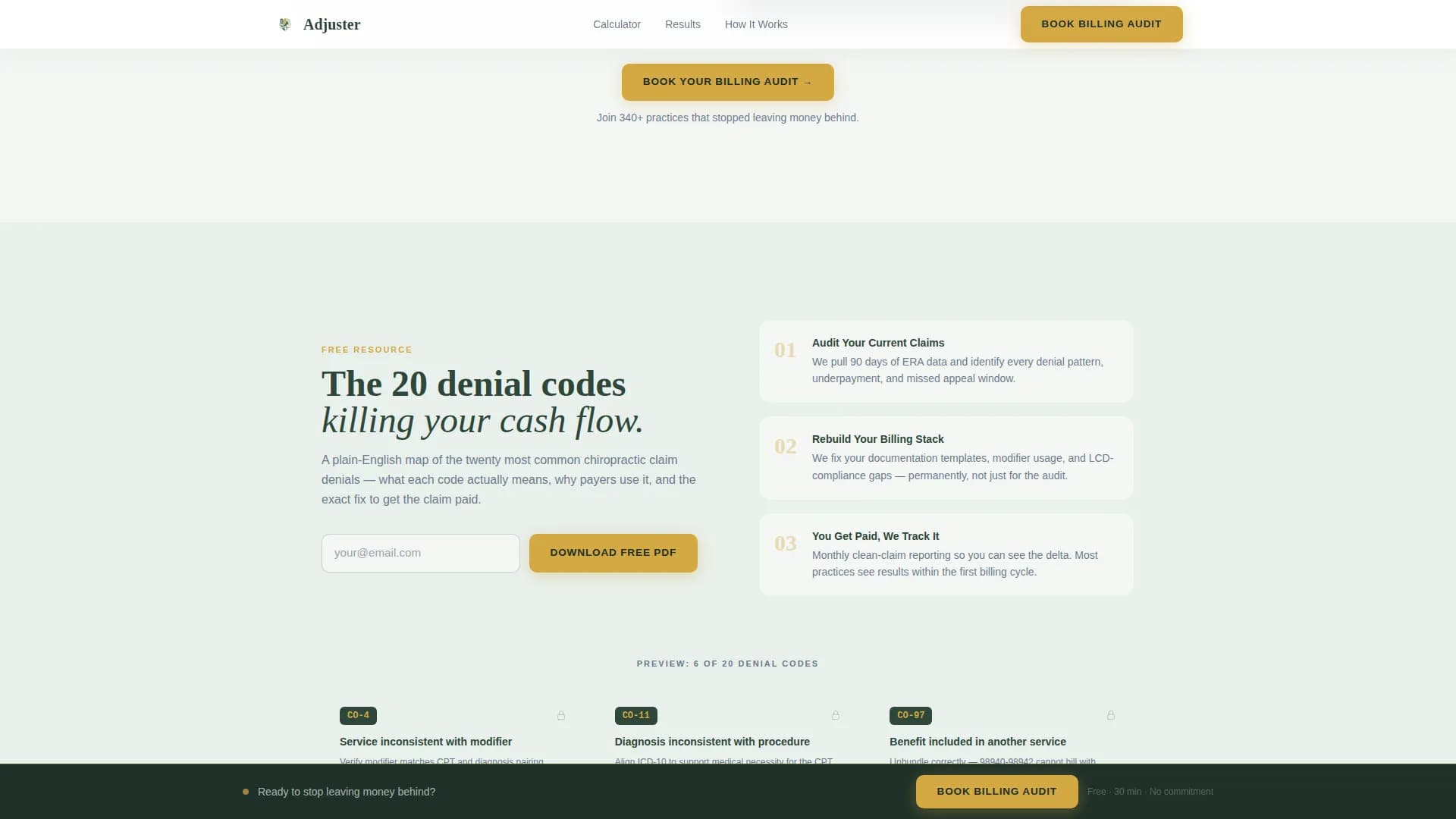 Adjuster - Revenue Insurance Landing page Template