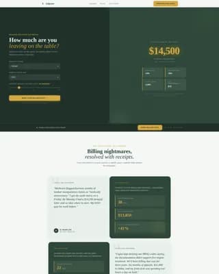 Adjuster - Revenue Insurance Landing page Template