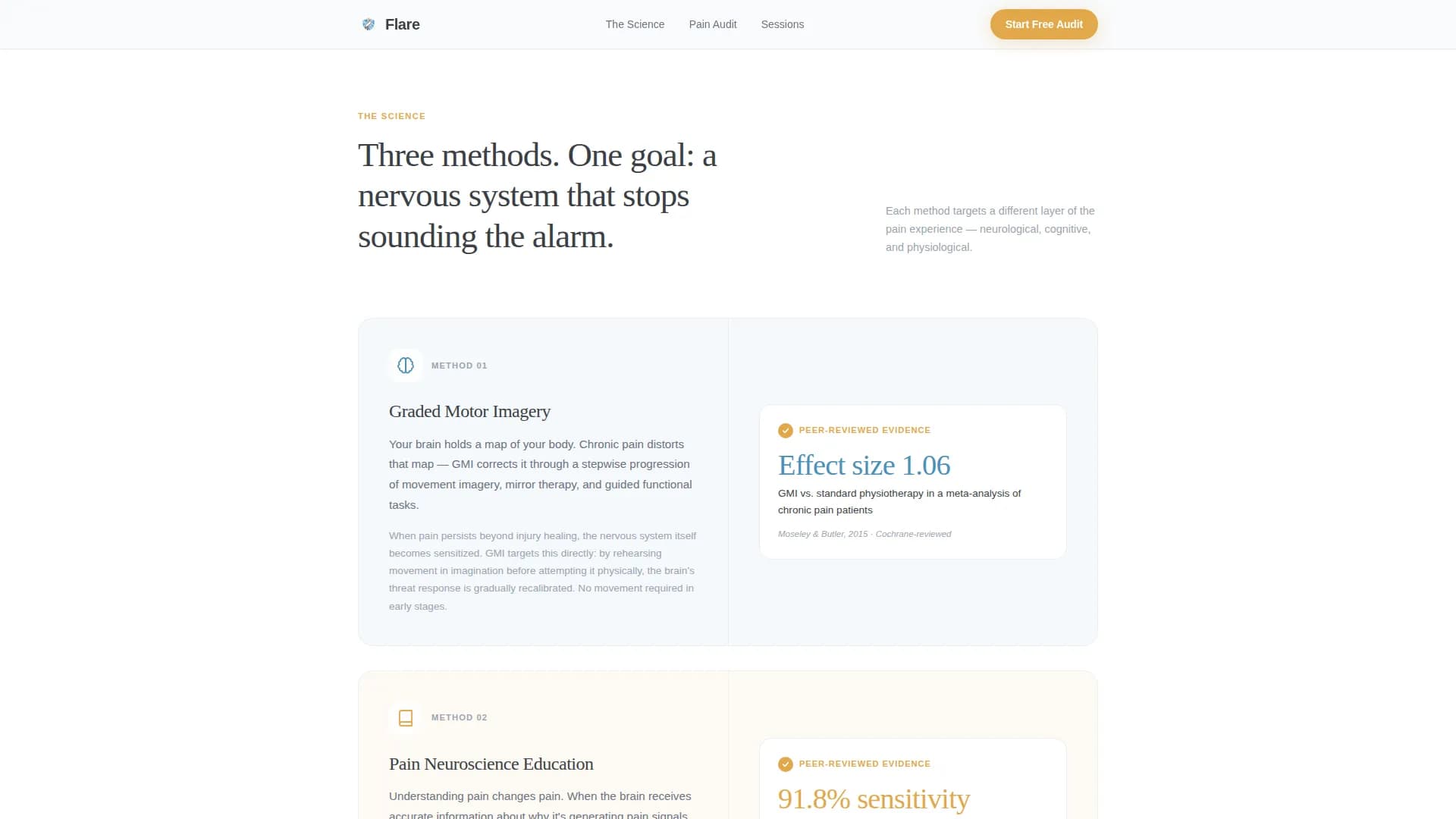 Chronic Pain Care Education Website Template
