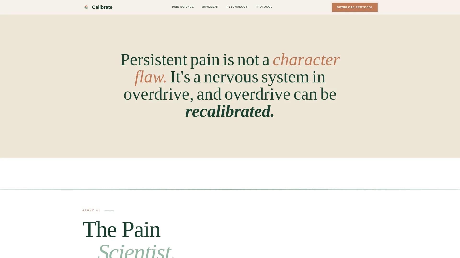 Chronic Pain Care Professional Website Template