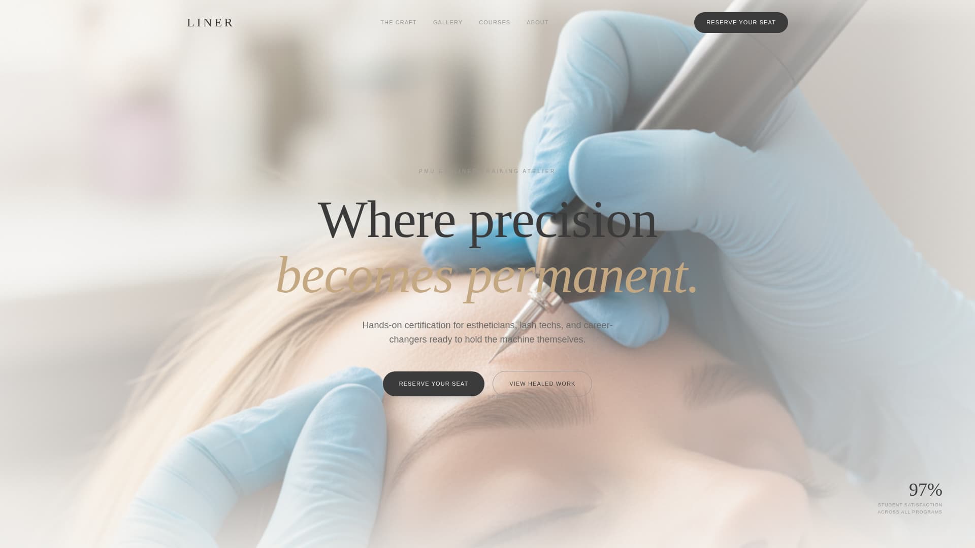 Liner - Precision PMU Landing Page Template
