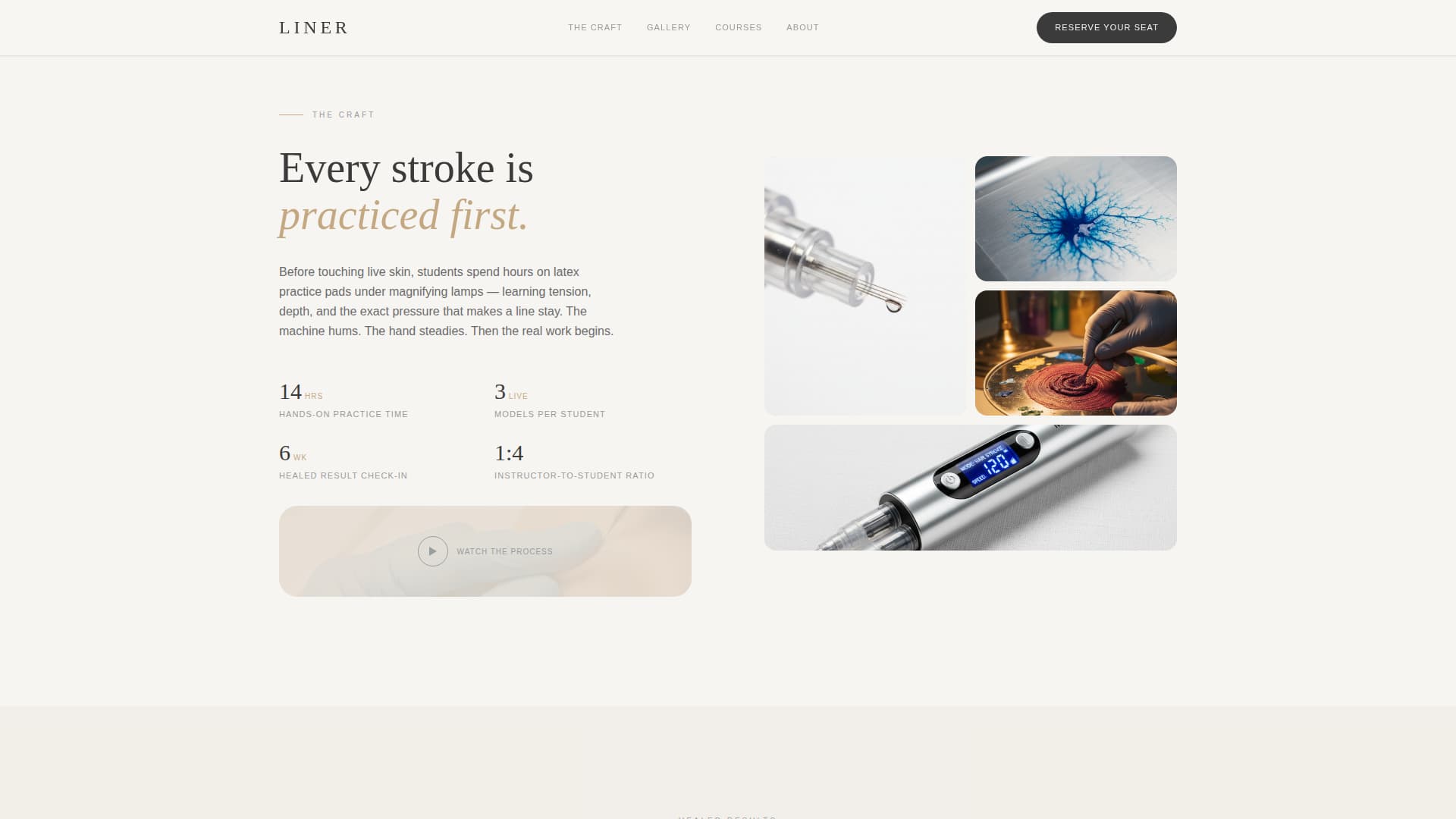 Liner - Precision PMU Landing Page Template