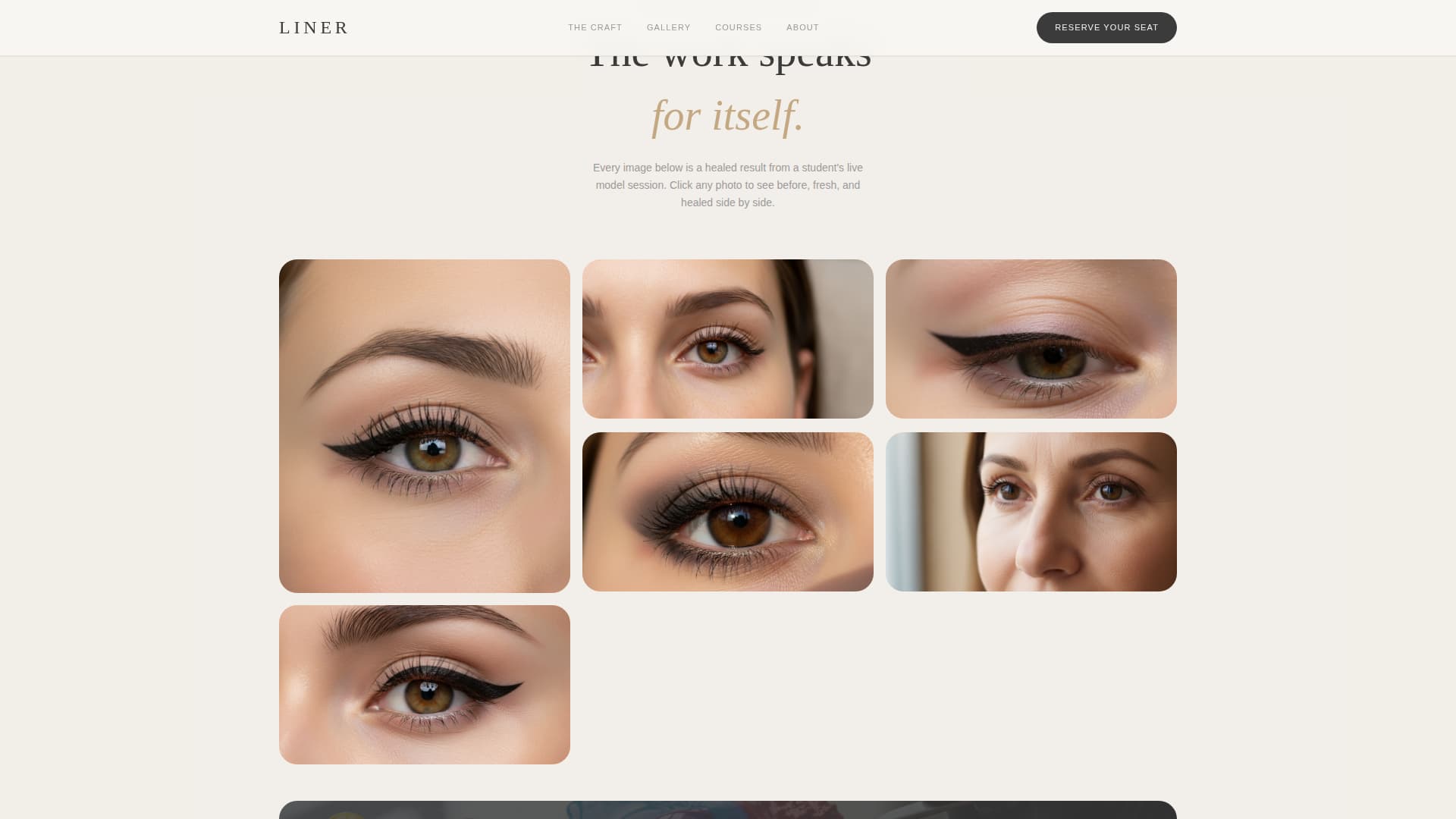 Liner - Precision PMU Landing Page Template