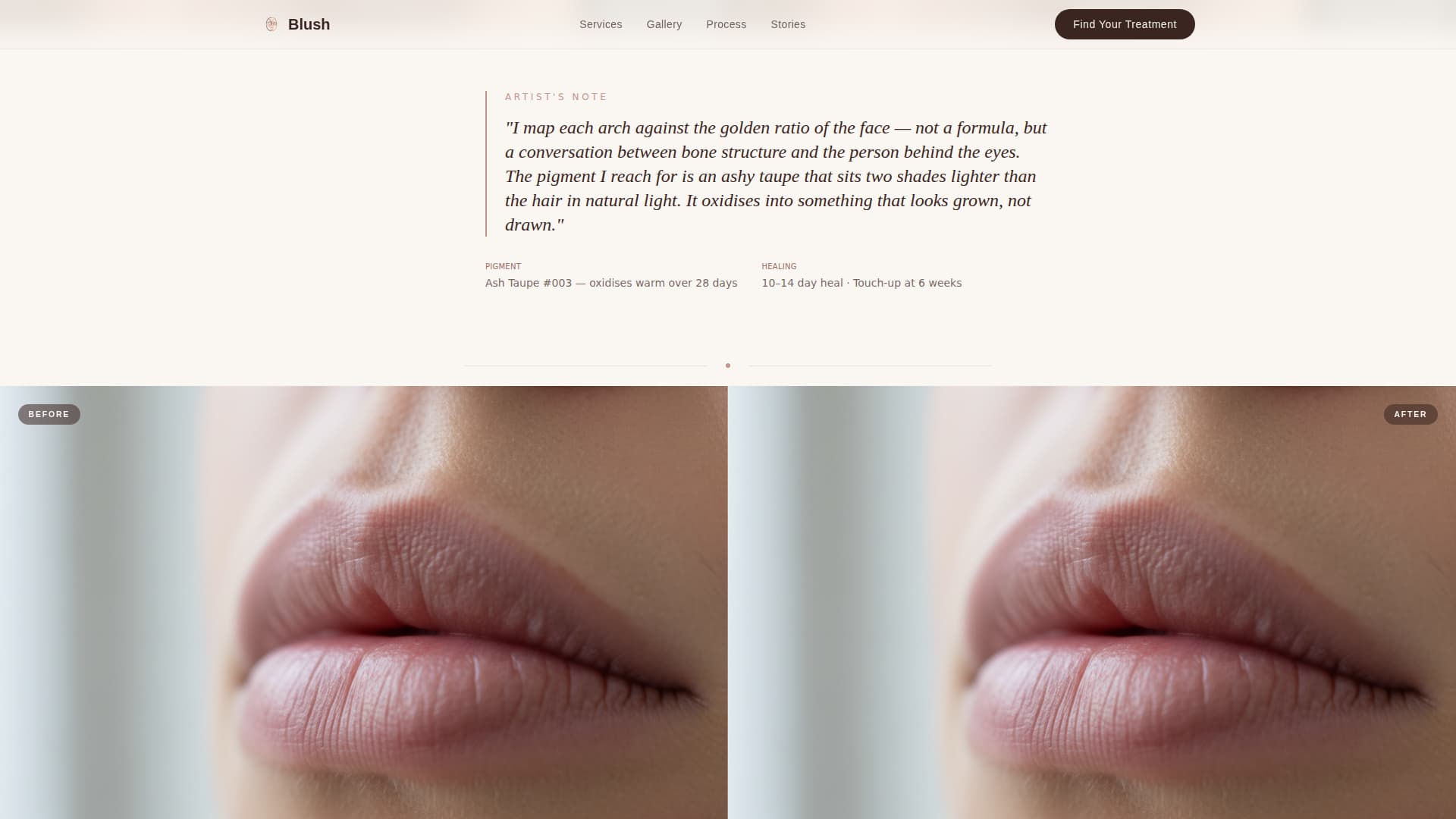 Blush - Artisan Permanentmakeup Landing Page Template