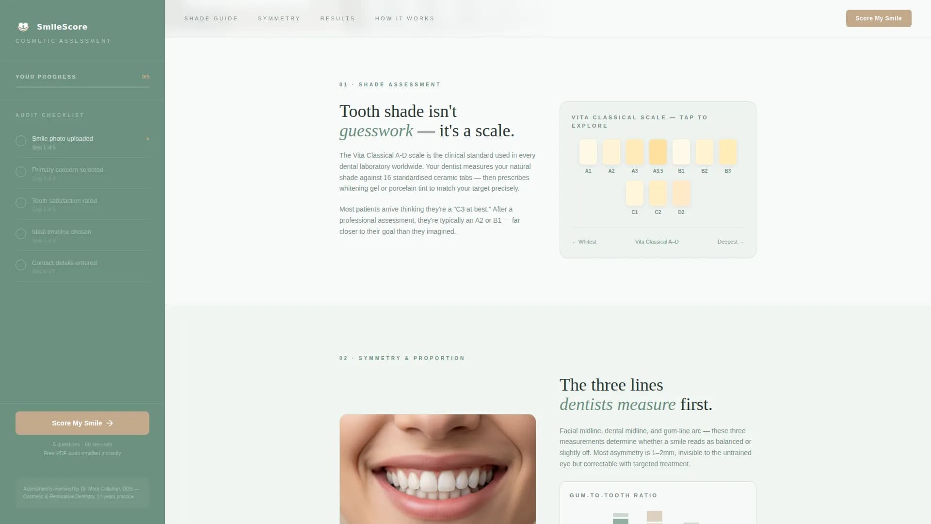 Smile - Smile Audit Landing page Template