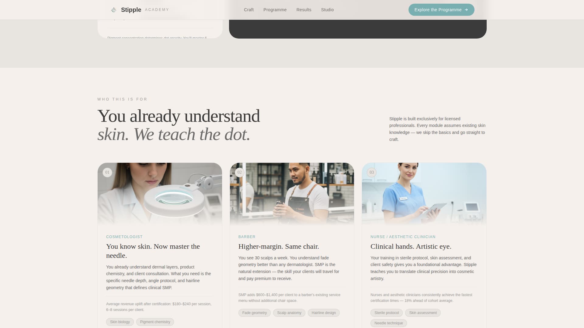 Stipple - Precision Micropigmentation Landing Page Template