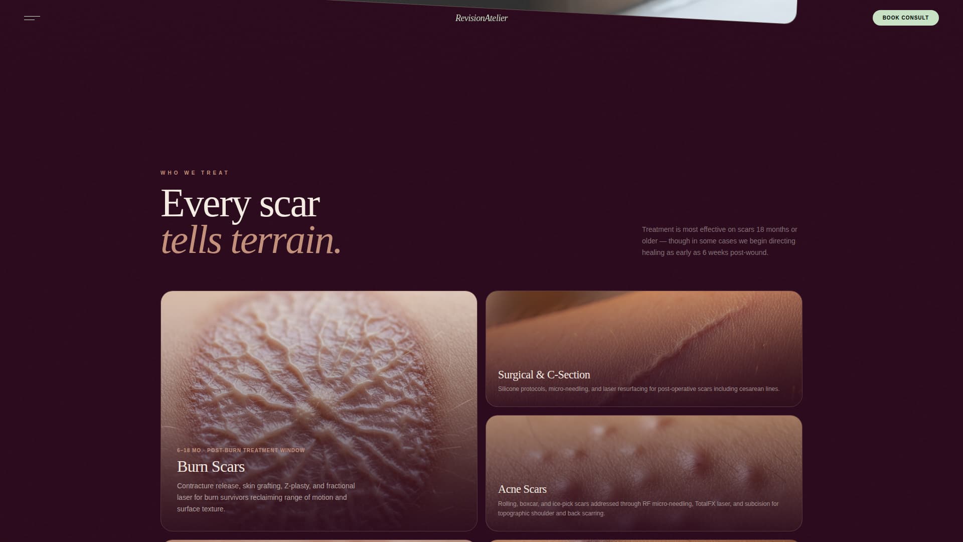 Revision - Precision Clinic Landing Page Template