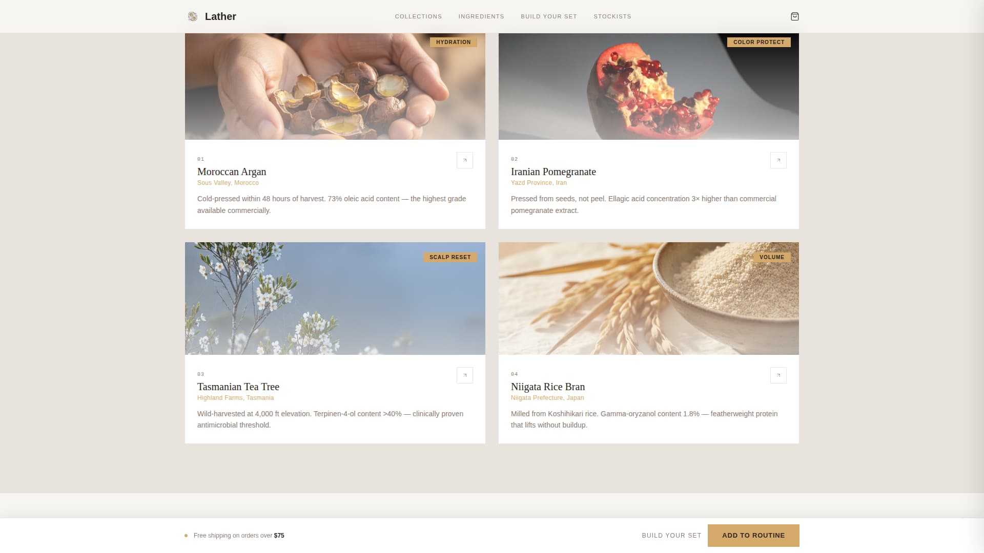 Lather - Botanical Haircare Landing Page Template