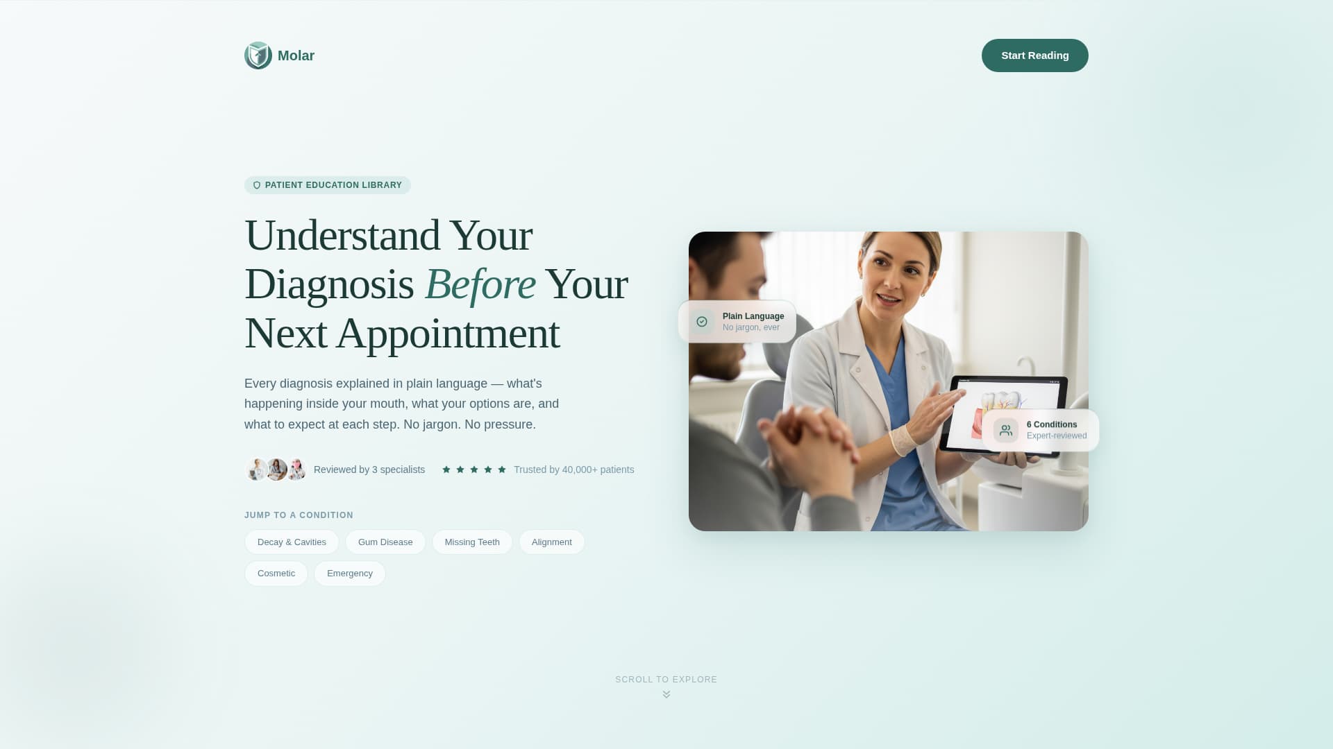 Dental Condition & Treatment Library Website Template