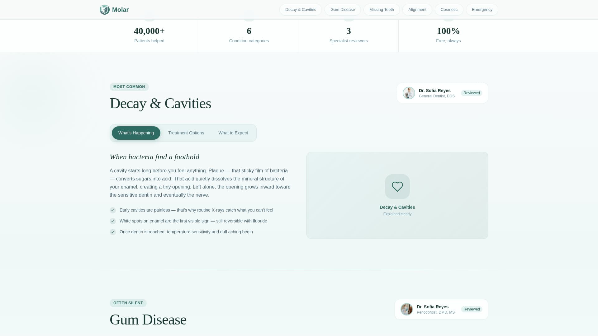 Dental Condition & Treatment Library Website Template