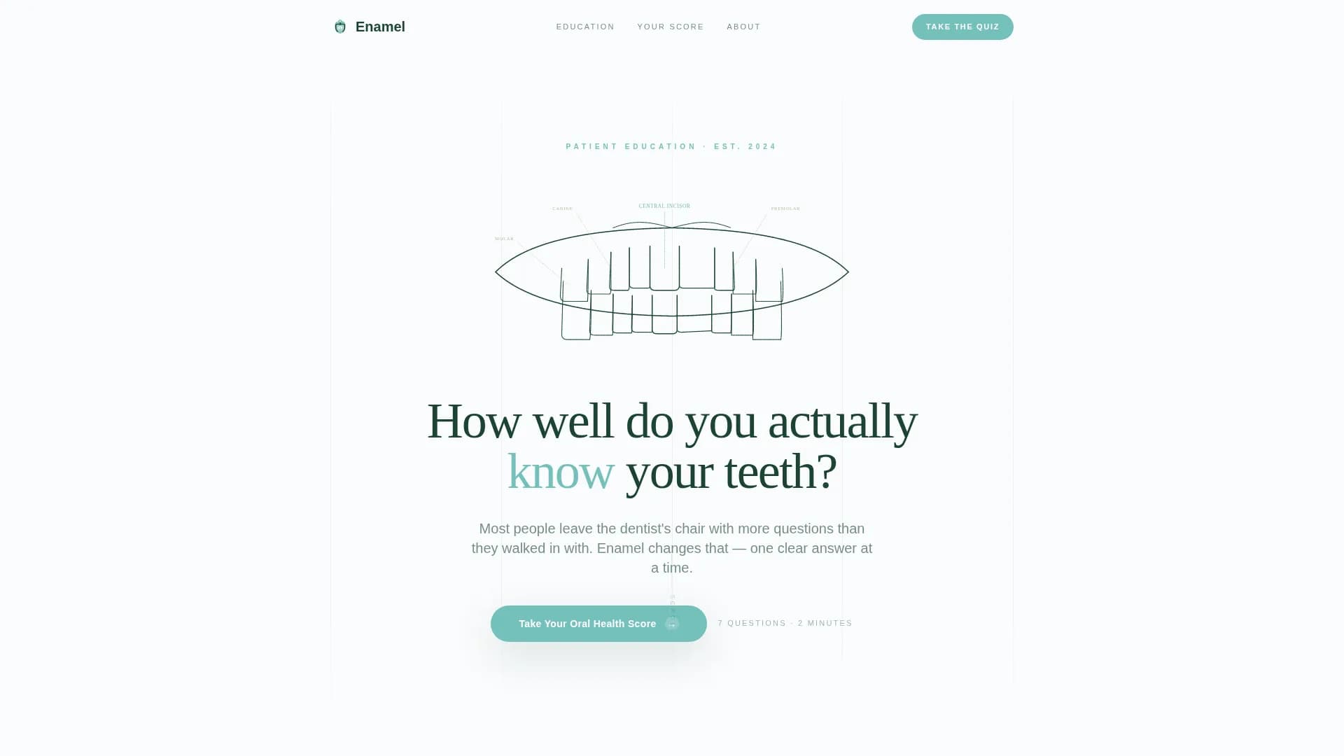 Dental Patient Education & Anxiety-Free Website Template