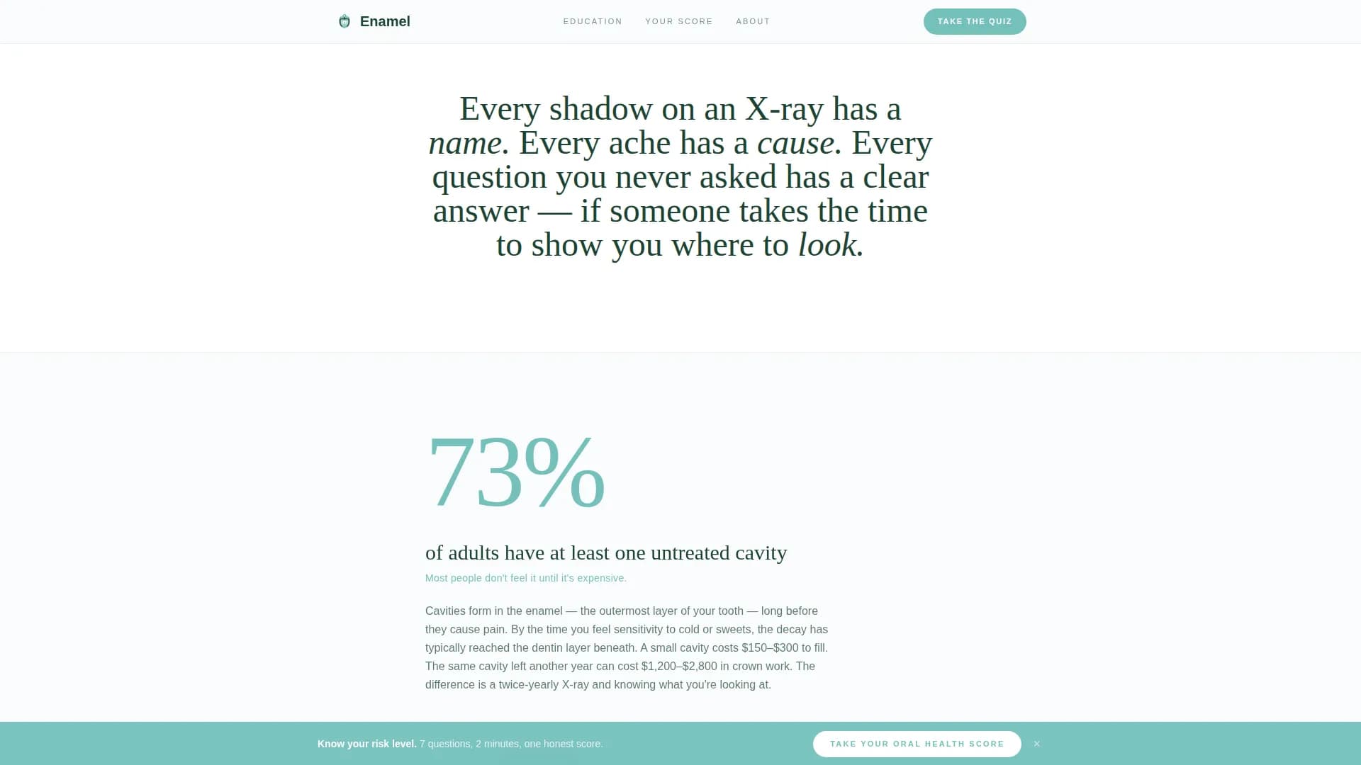 Dental Patient Education & Anxiety-Free Website Template