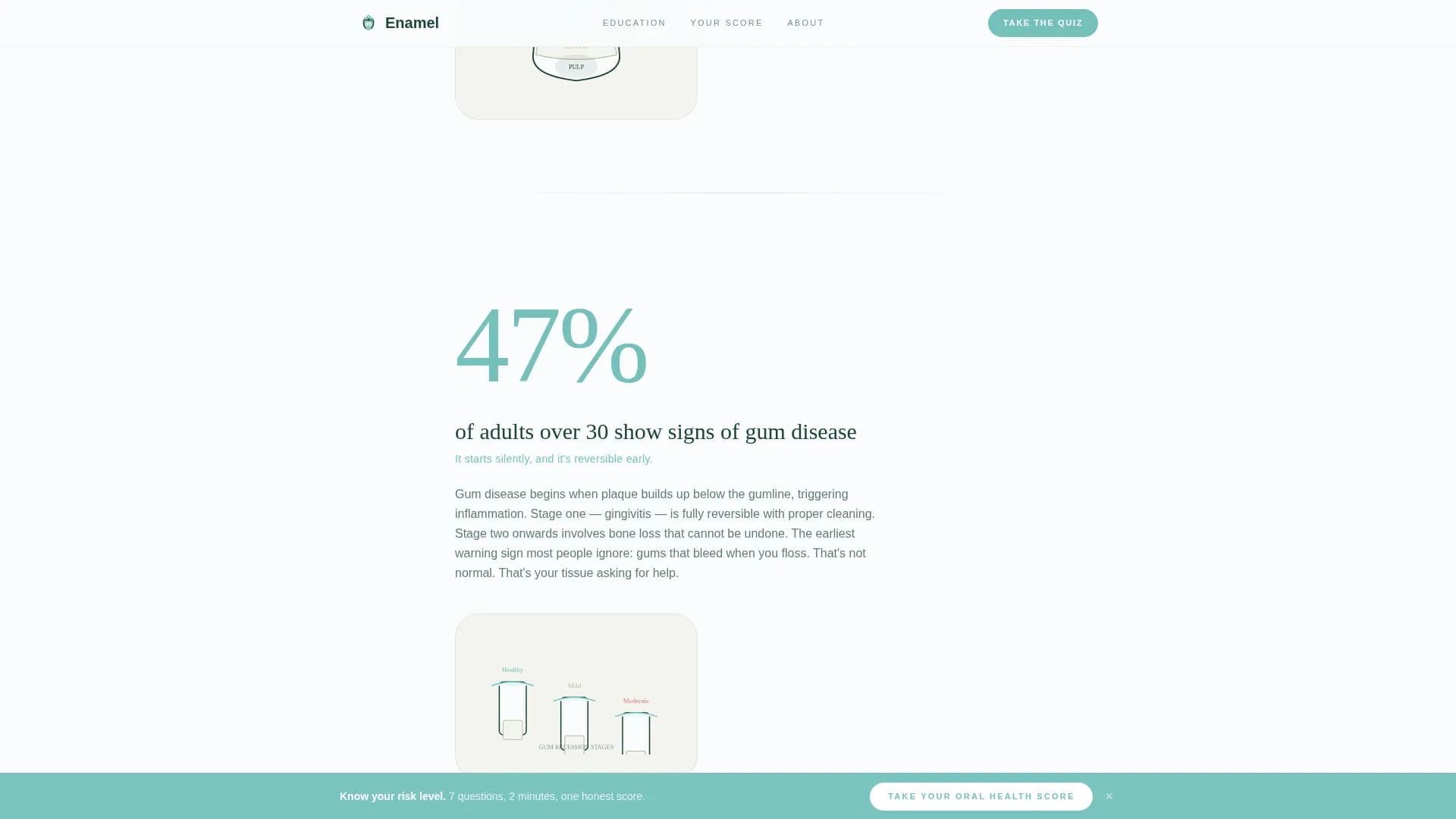 Dental Patient Education & Anxiety-Free Website Template
