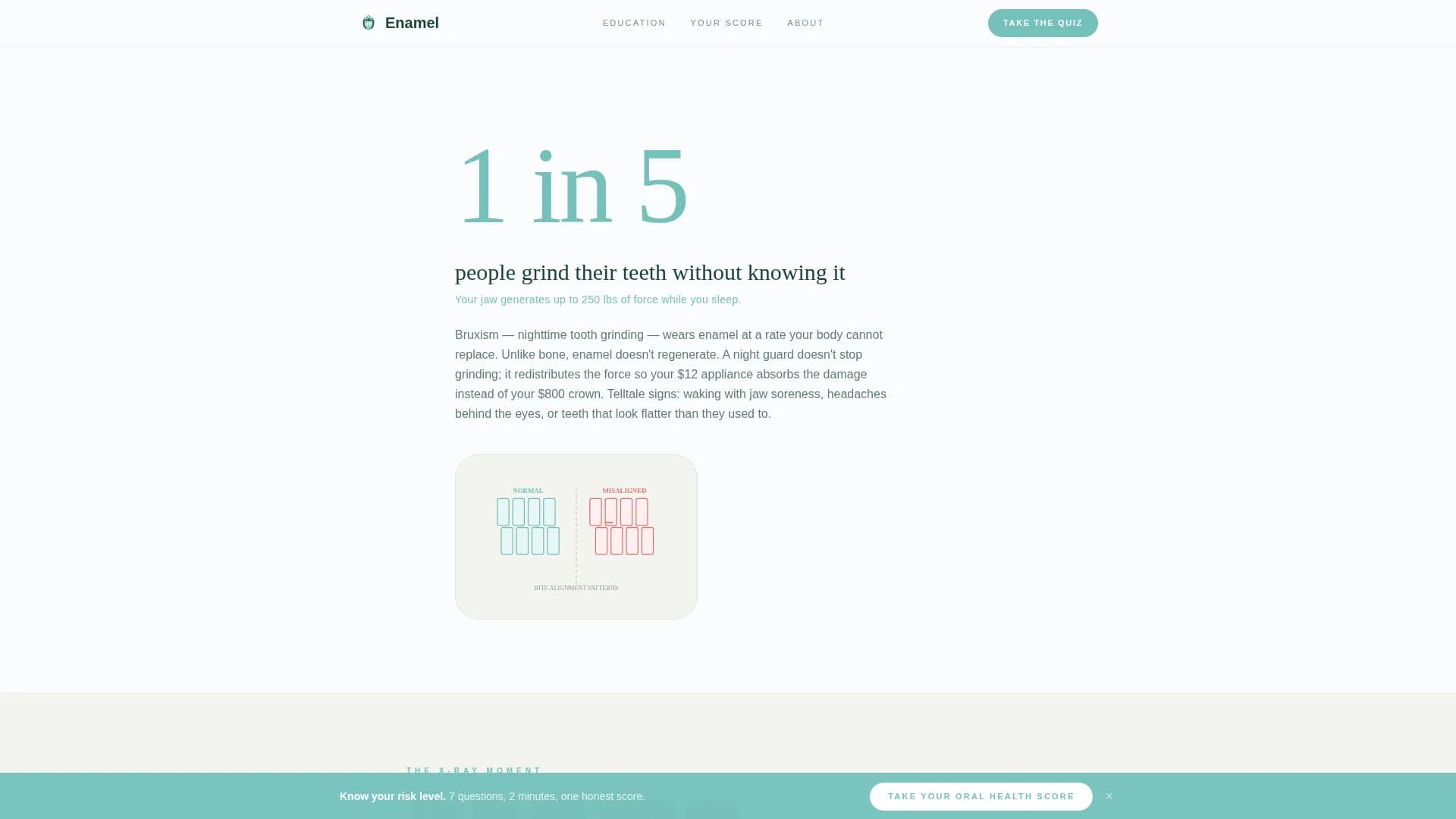 Dental Patient Education & Anxiety-Free Website Template