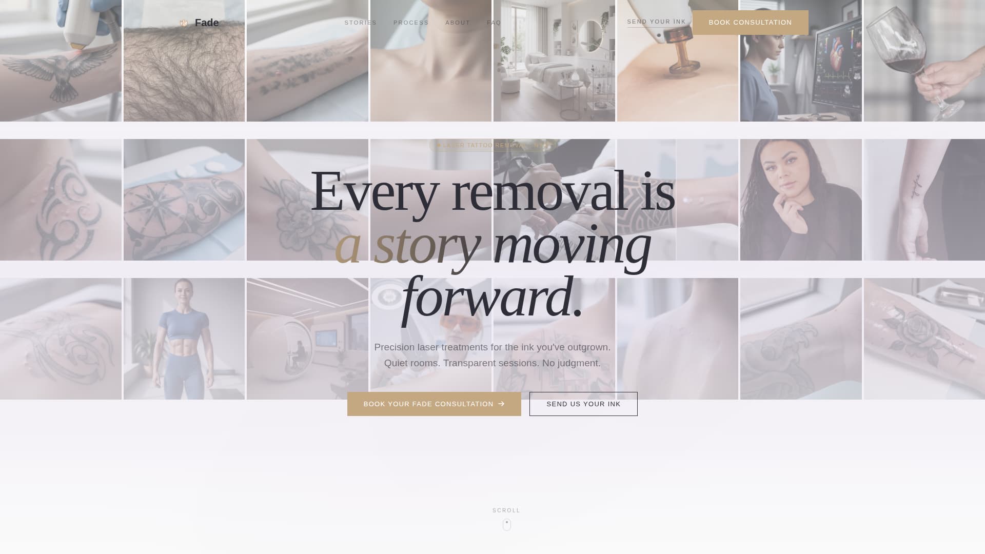 Fade - Luxe Removal Landing Page Template