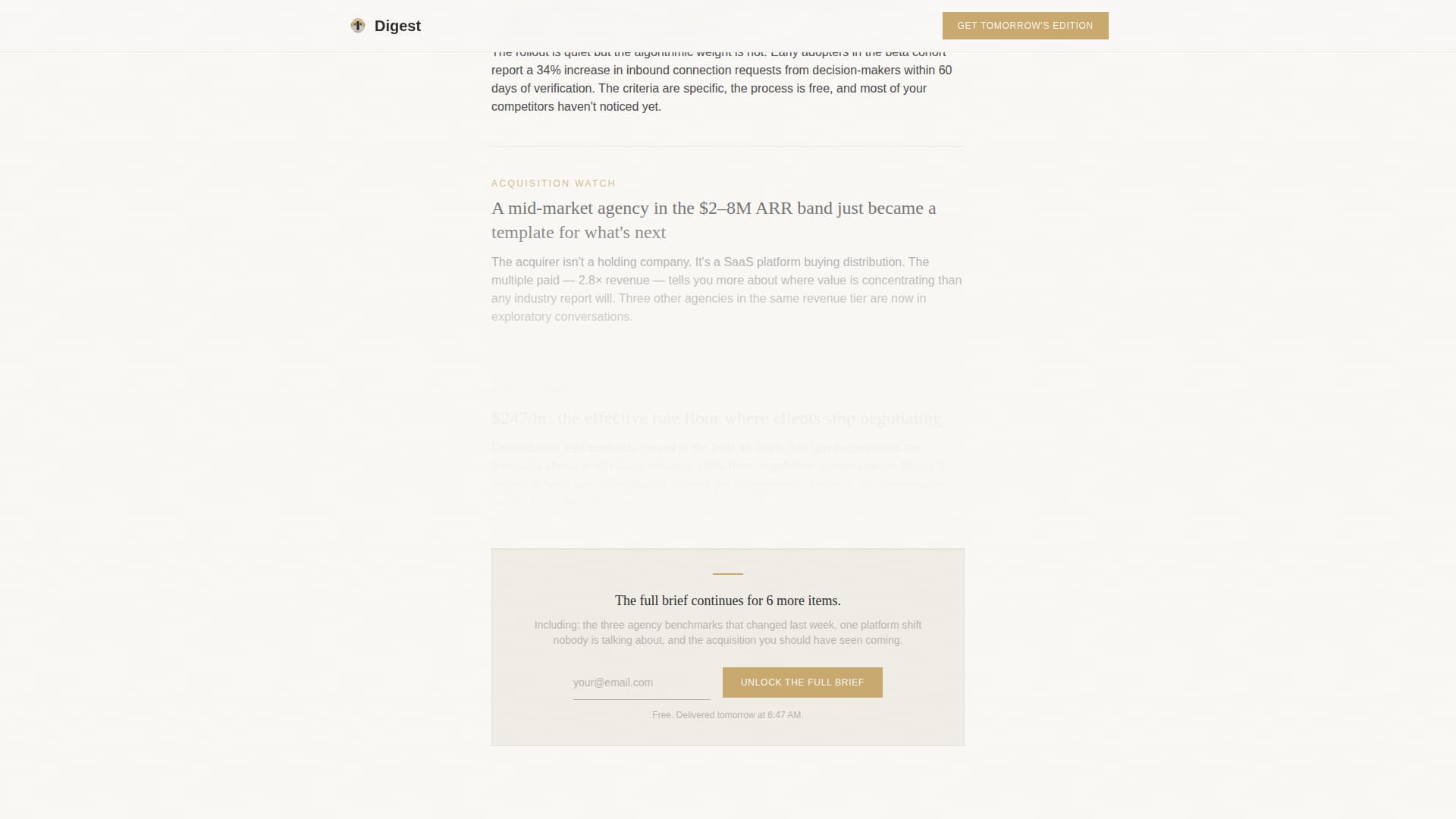 Agency & Freelance Newsletter Specialist Blog Website Template