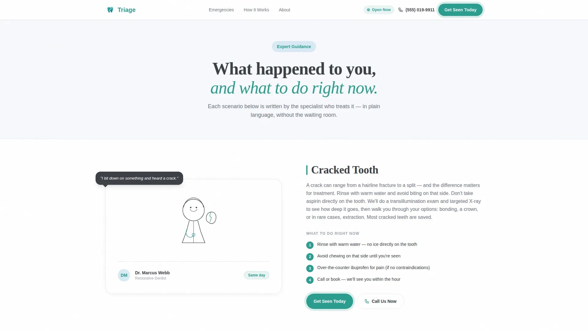Emergency Dentist Advanced Booking Website Template