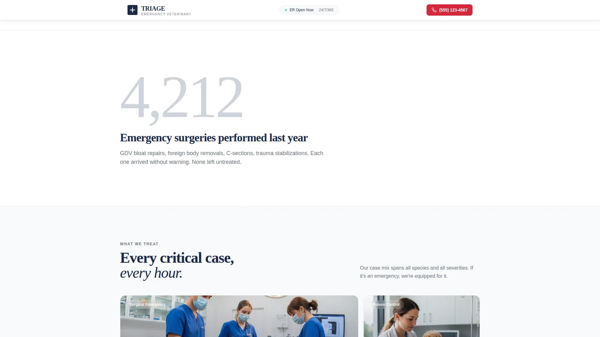 Veterinary & Animal Hospital Professional Website Template