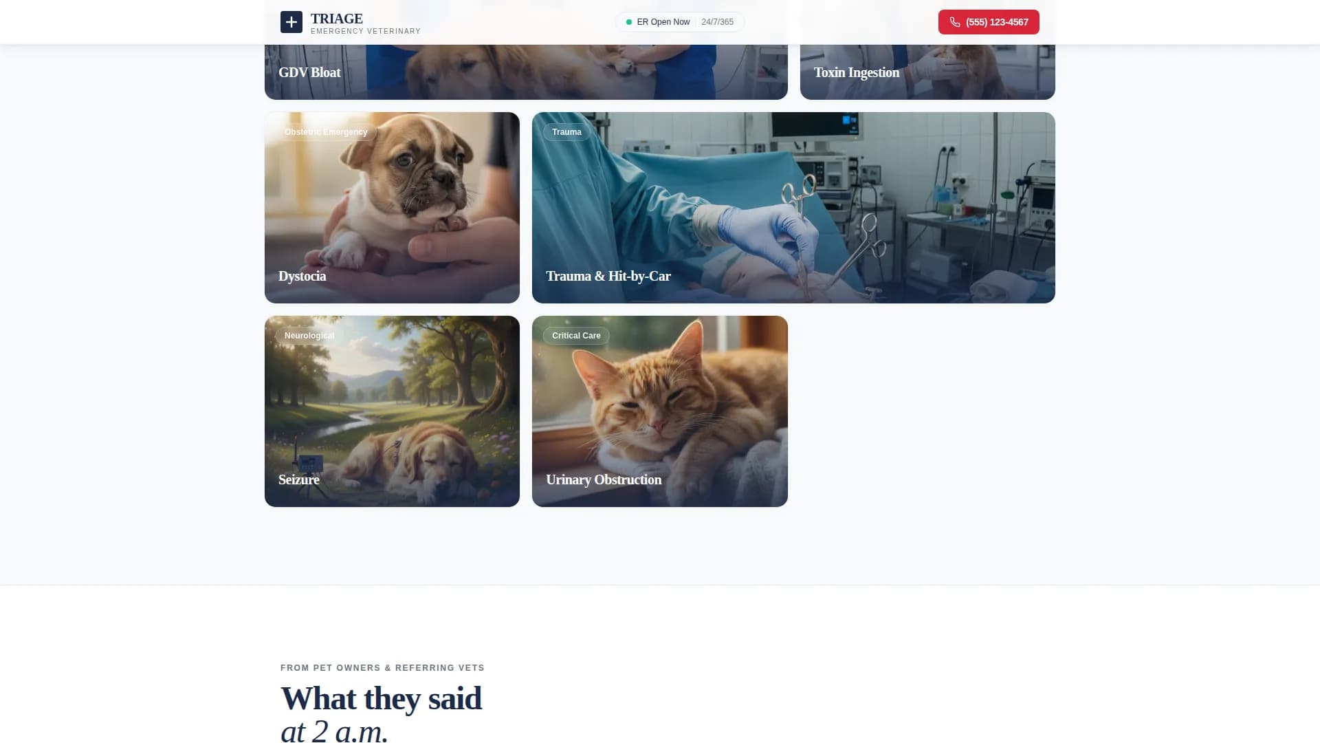 Veterinary & Animal Hospital Professional Website Template