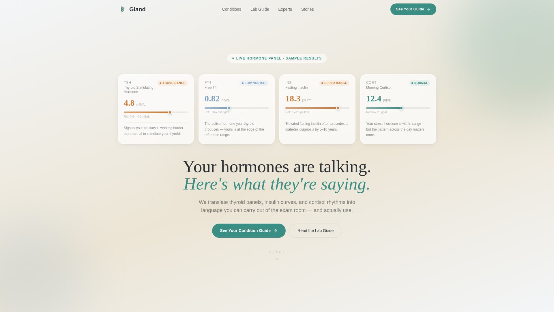 Endocrinologist Reviews Website Template