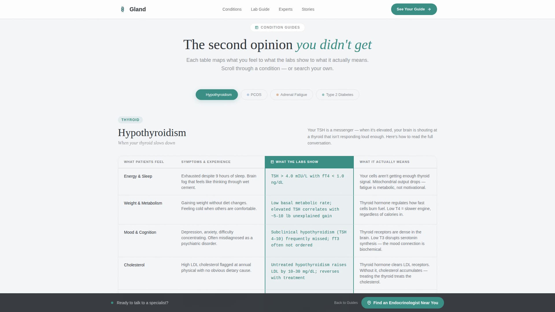 Endocrinologist Reviews Website Template