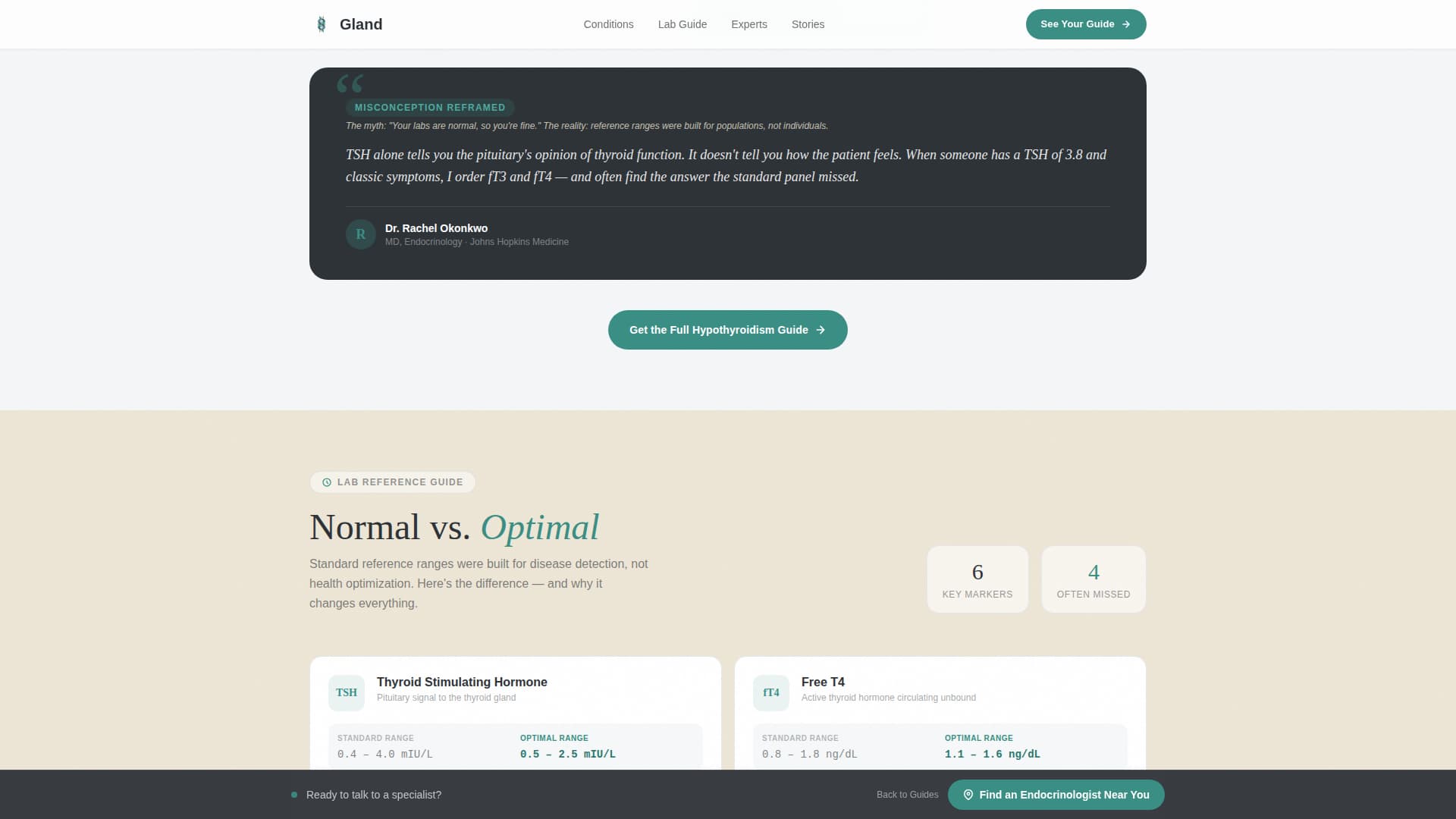 Endocrinologist Reviews Website Template