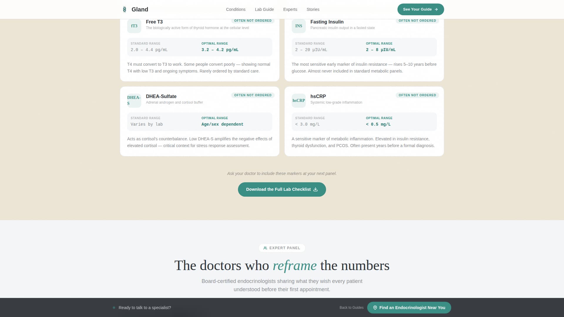 Endocrinologist Reviews Website Template