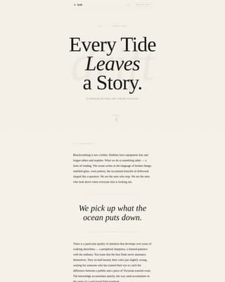 Hobby & Passion Content Specialist Pre-Launch Website Template