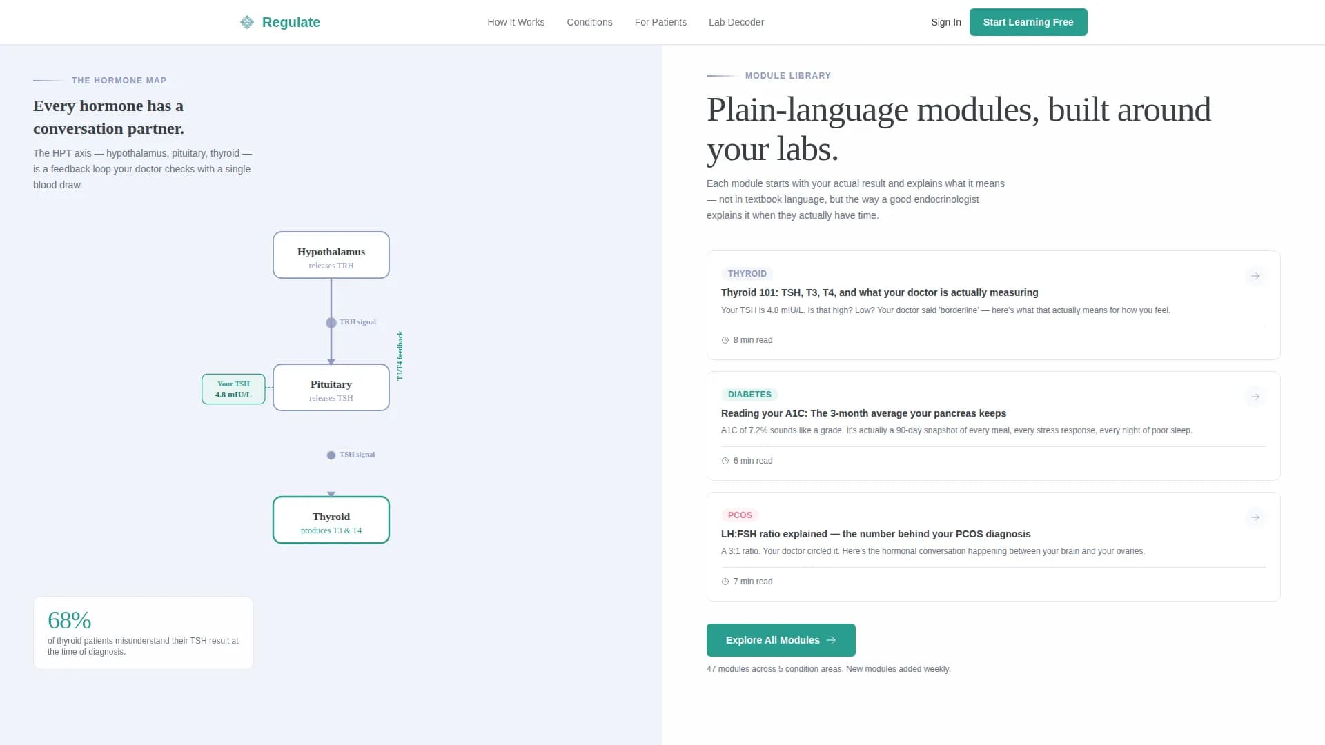 Endocrinology Medicine Specialist Booking Website Template